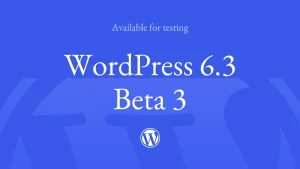 Wordpress 6.3 frissítés